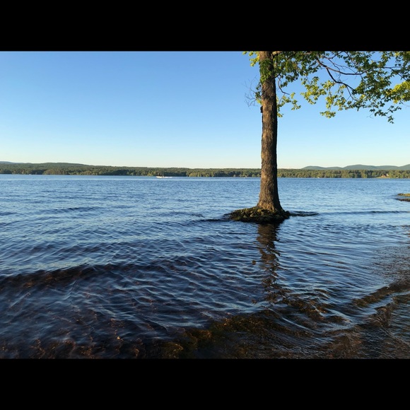 Meet your Posher, Deanna - Picture 1 of 1